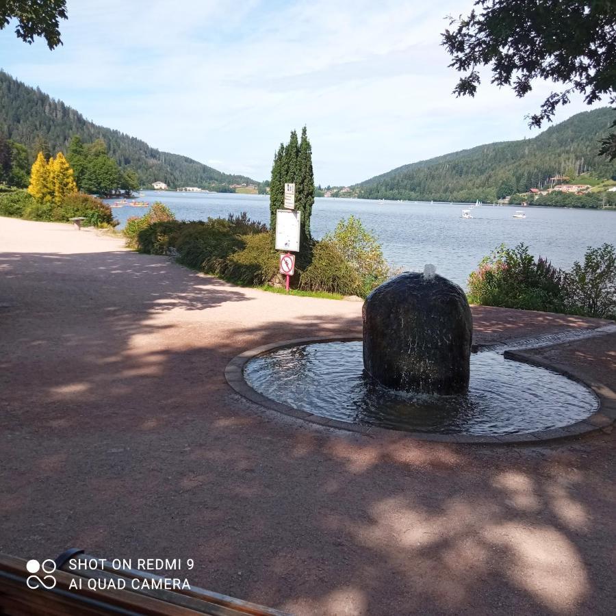 Appartement Les Balcons De La Chalande Le Tholy Gerardmer, Jardin,Balcon, Terrasse, Exterior foto